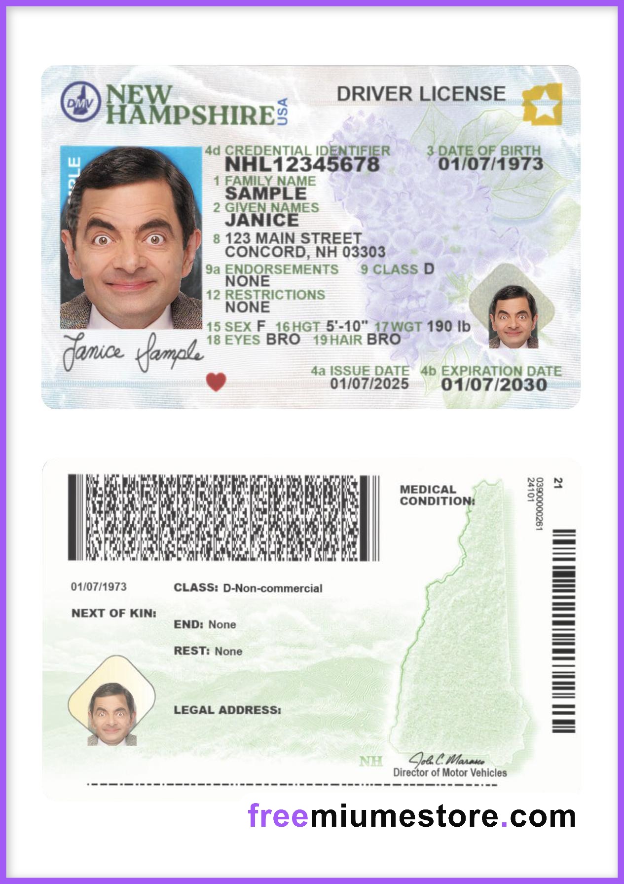 New Hampshire Driver license PSD Template